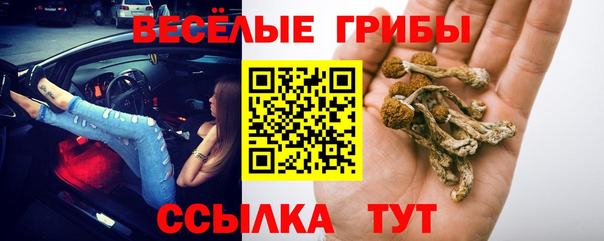 Галлюциногенные грибы Magic Shrooms Петропавловск-Камчатский