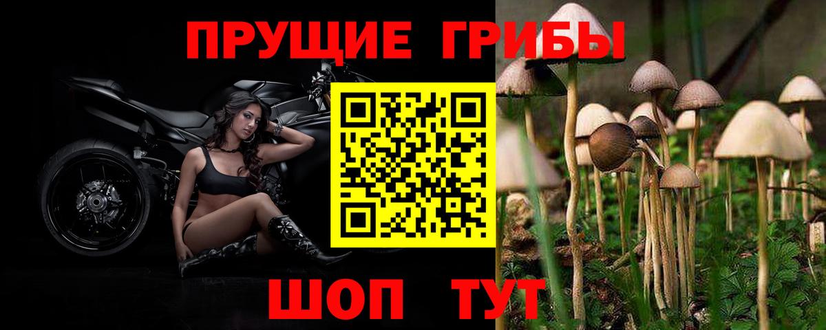 Псилоцибиновые грибы MAGIC MUSHROOMS  Вход с VPN  Петропавловск-Камчатский  Галлюциногенные грибы ЛСД 
